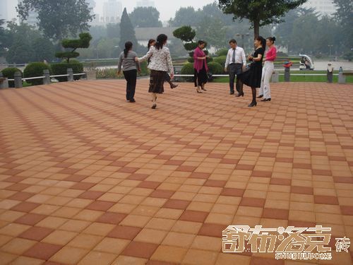 建菱砖